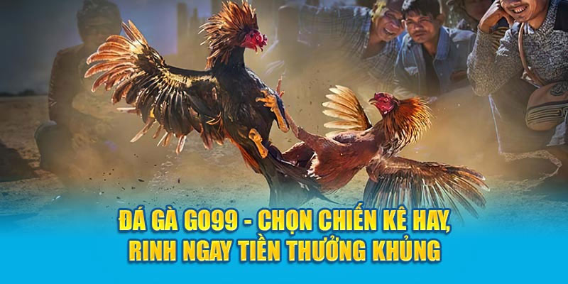 Trải Nghiệm Đá Gà Go99 Trên điện thoại sẽ như thế nào ?